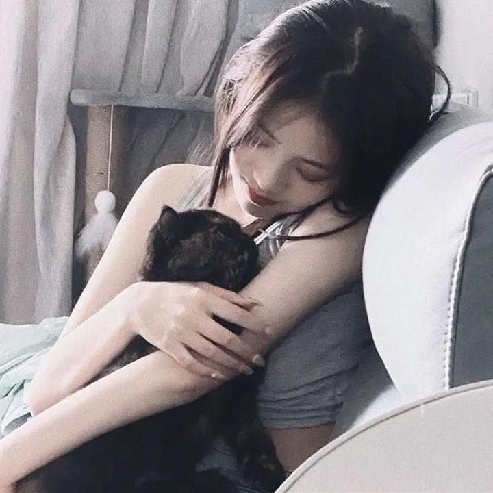 熊猫手札
